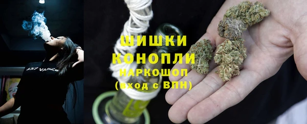 дмт Лиски