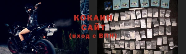дмт Лиски