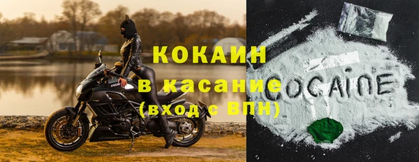 дживик Липки