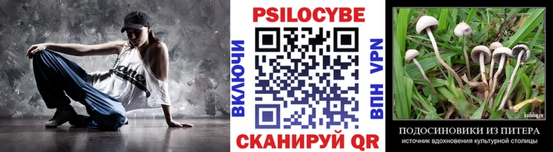 гидра ссылка  Кандалакша  Псилоцибиновые грибы GOLDEN TEACHER 