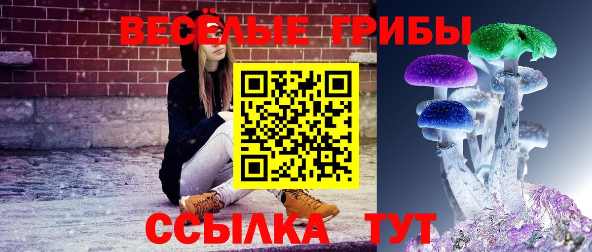 Кандалакша  Псилоцибиновые грибы MAGIC MUSHROOMS  Вход с VPN 