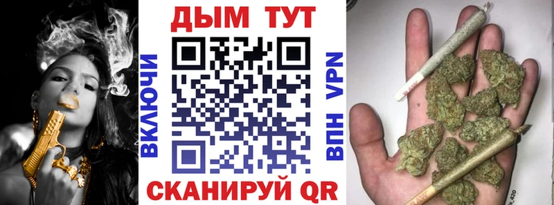 где можно купить   Кандалакша  omg онион  Канабис Bruce Banner 